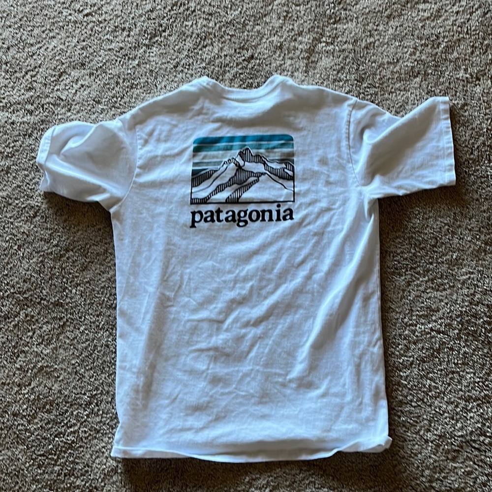 Patagonia Tee shirt Size medium